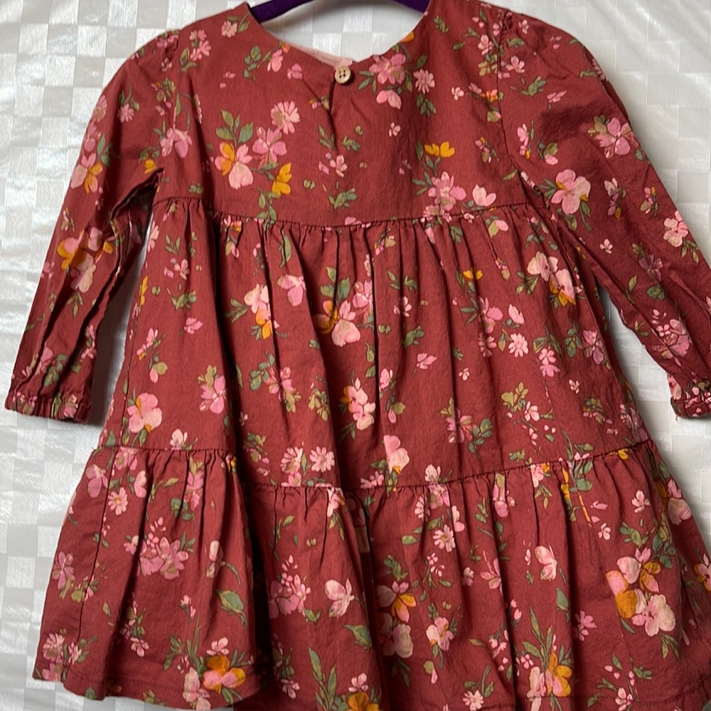 Oshkosh 9m dress